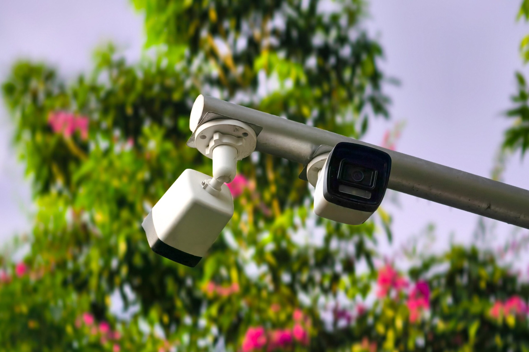 Tembelova OSB fabrika kamera sistemi